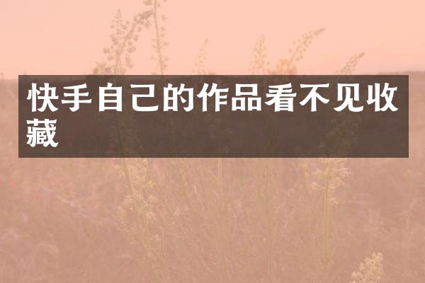 快手自己的作品看不见收藏