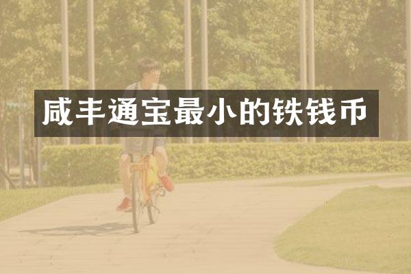 咸丰通宝最小的铁钱币