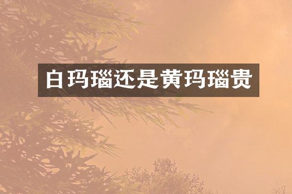 白玛瑙还是黄玛瑙贵