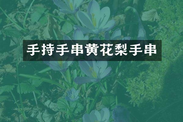 手持手串黄花梨手串