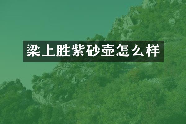 梁上胜紫砂壶怎么样