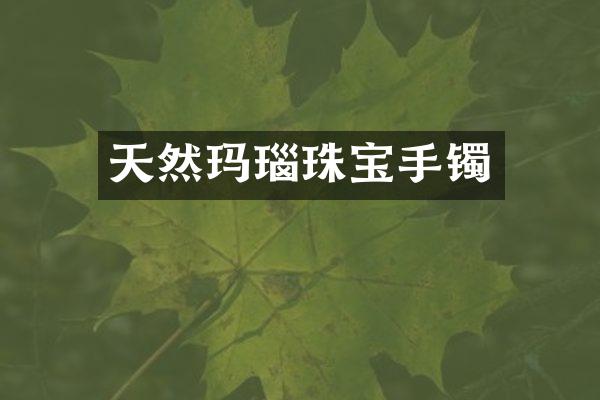 天然玛瑙珠宝手镯