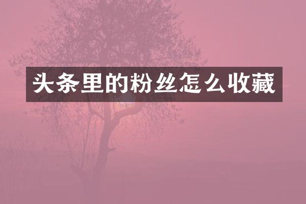 头条里的粉丝怎么收藏
