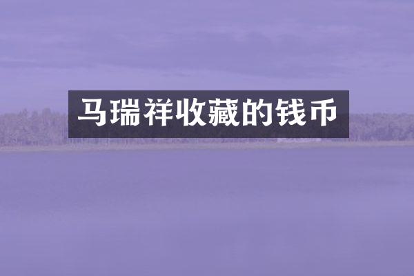 马瑞祥收藏的钱币