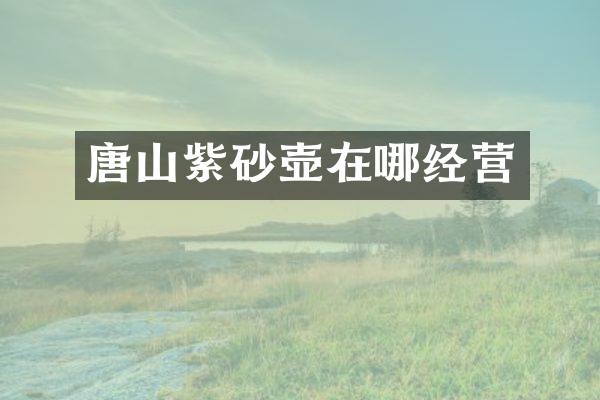 唐山紫砂壶在哪经营