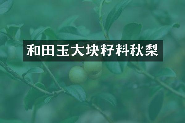 和田玉大块籽料秋梨