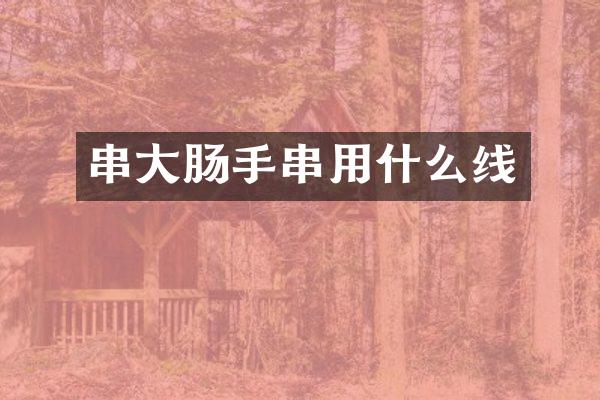 串大肠手串用什么线