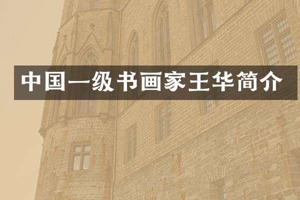 中国一级书画家王华简介