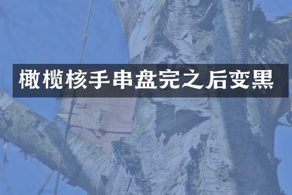 橄榄核手串盘完之后变黑