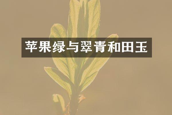 苹果绿与翠青和田玉