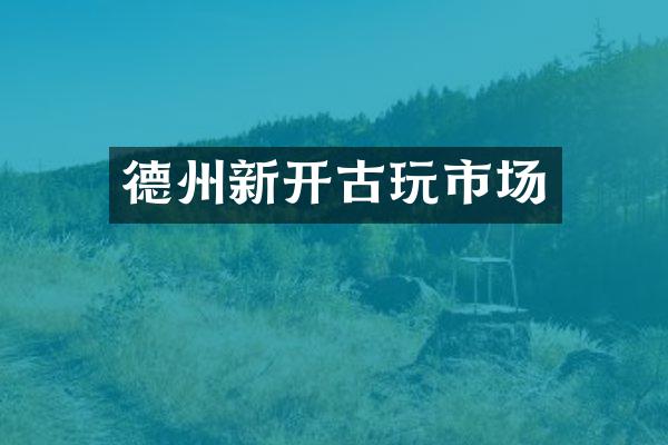 德州新开古玩市场