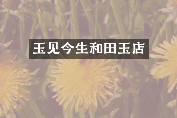 玉见今生和田玉店