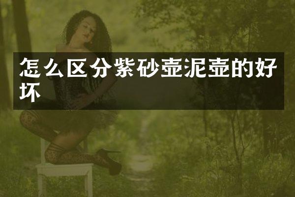 怎么区分紫砂壶泥壶的好坏