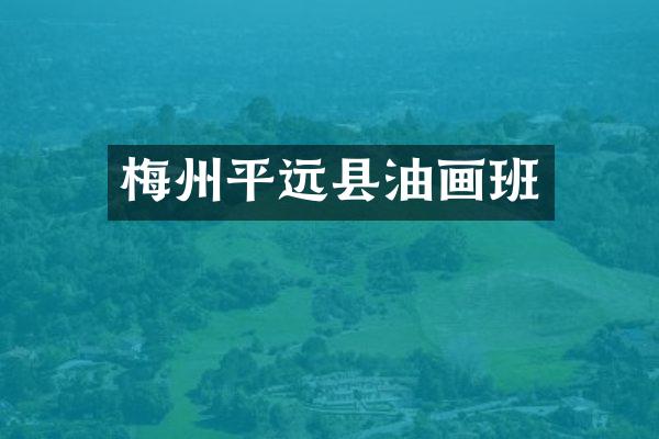 梅州平远县油画班