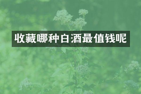收藏哪种白酒最值钱呢