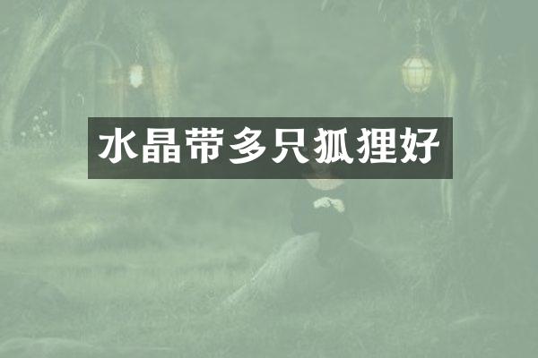 水晶带多只狐狸好