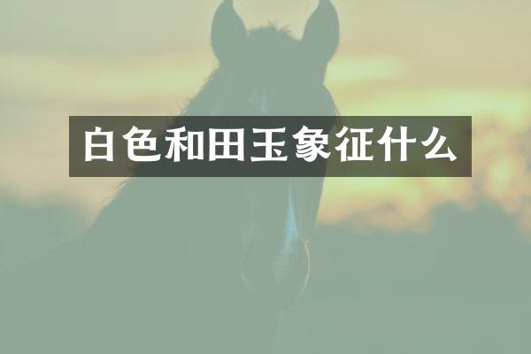 白色和田玉象征什么