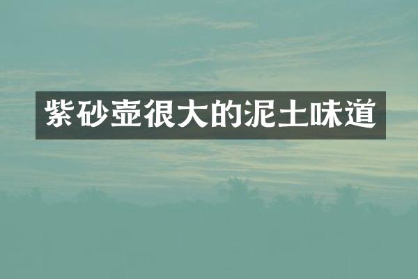 紫砂壶很大的泥土味道