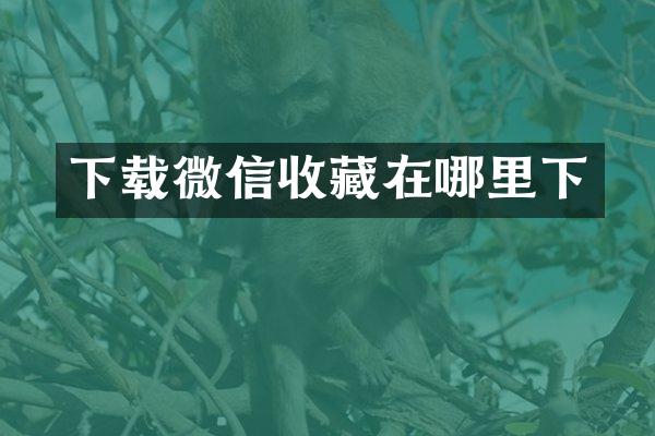 下载微信收藏在哪里下