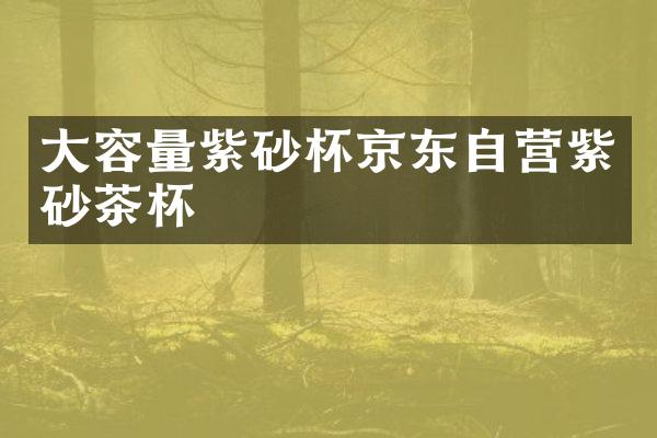 大容量紫砂杯京东自营紫砂茶杯