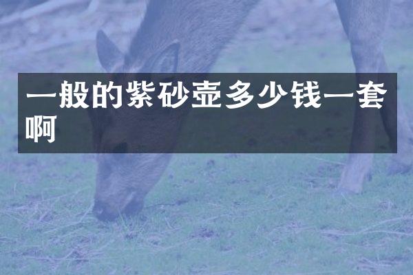 一般的紫砂壶多少钱一套啊