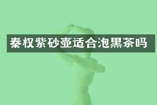 秦权紫砂壶适合泡黑茶吗