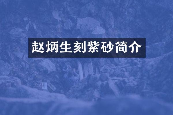 赵炳生刻紫砂简介