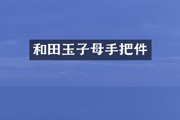 和田玉子母手把件