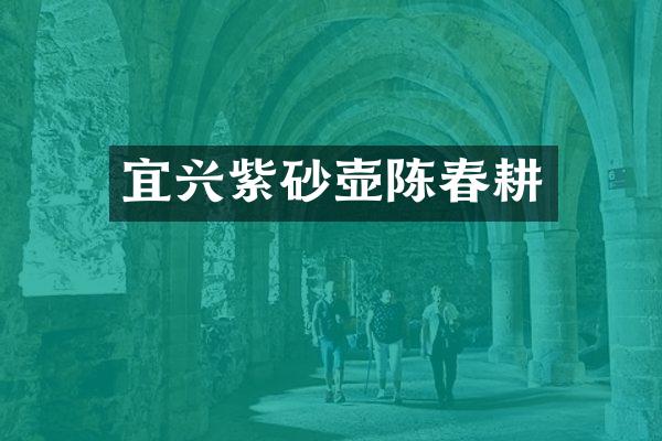 宜兴紫砂壶陈春耕