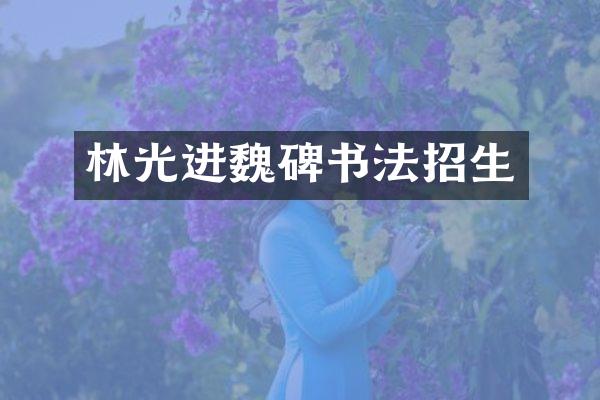 林光进魏碑书法招生