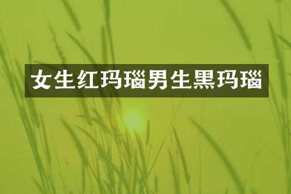 女生红玛瑙男生黑玛瑙