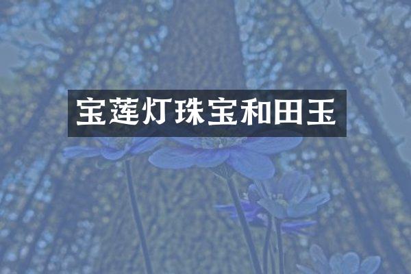 宝莲灯珠宝和田玉