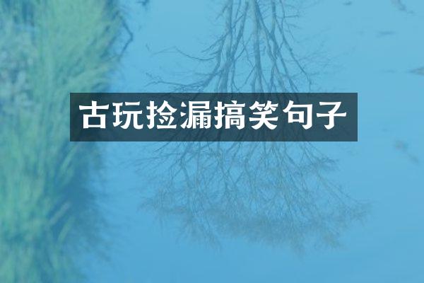 古玩捡漏搞笑句子
