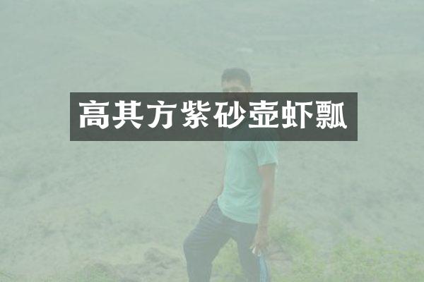 高其方紫砂壶虾瓢