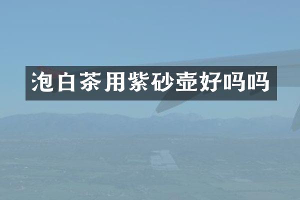泡白茶用紫砂壶好吗吗