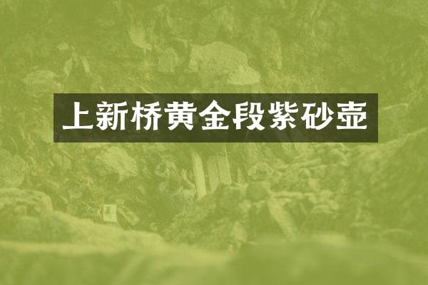 上新桥黄金段紫砂壶
