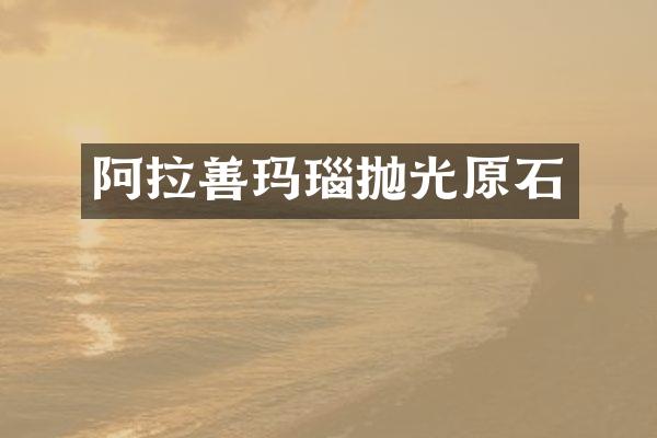 阿拉善玛瑙抛光原石