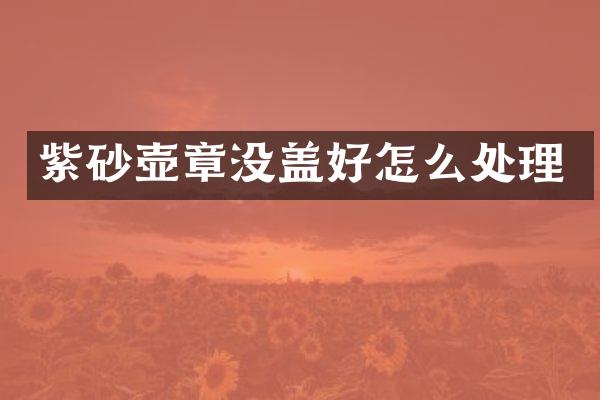 紫砂壶章没盖好怎么处理
