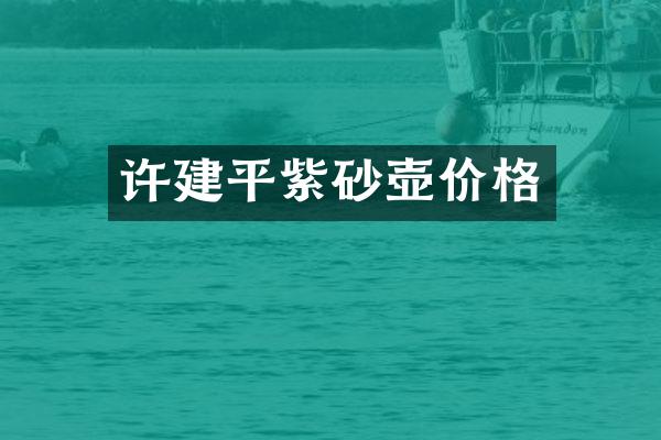 许建平紫砂壶价格
