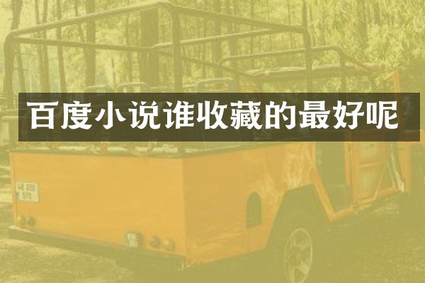 百度小说谁收藏的最好呢