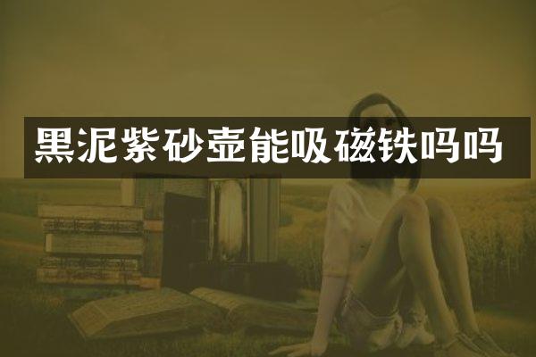 黑泥紫砂壶能吸磁铁吗吗