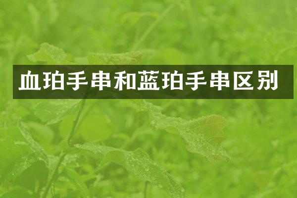 血珀手串和蓝珀手串区别