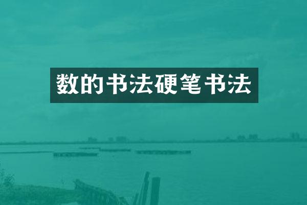 数的书法硬笔书法