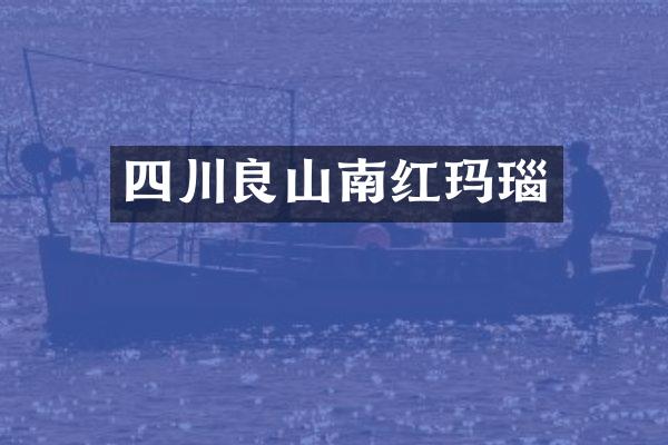 四川良山南红玛瑙
