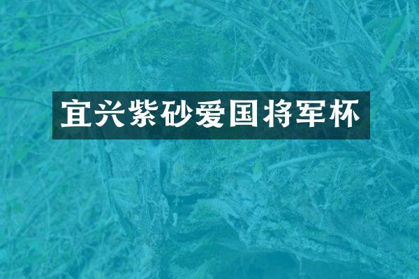 宜兴紫砂爱国将军杯