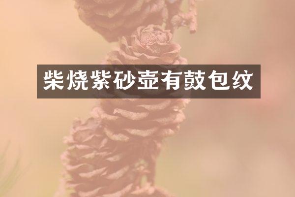 柴烧紫砂壶有鼓包纹
