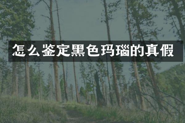 怎么鉴定黑色玛瑙的真假