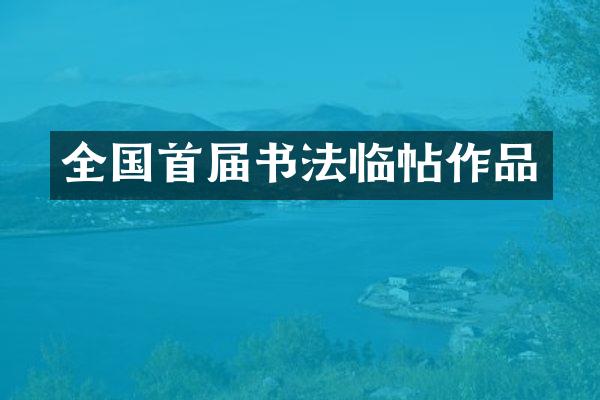全国首届书法临帖作品