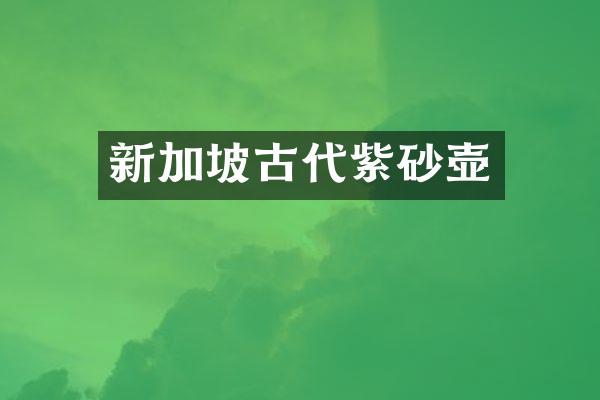 新加坡古代紫砂壶