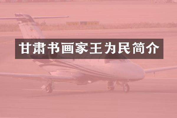 甘肃书画家王为民简介